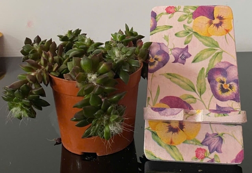 Giá đỡ điện thoại nhỏ 4 x 14cm