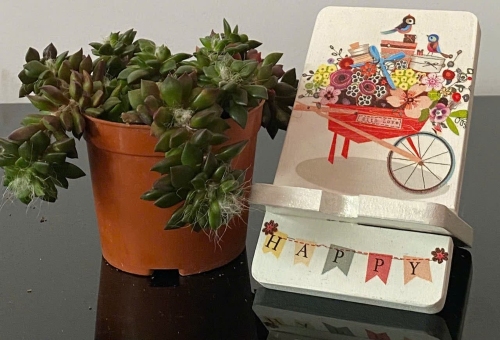 Giá đỡ điện thoại nhỏ 4 x 14cm