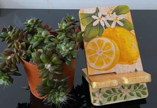 Giá đỡ điện thoại nhỏ 4 x 14cm