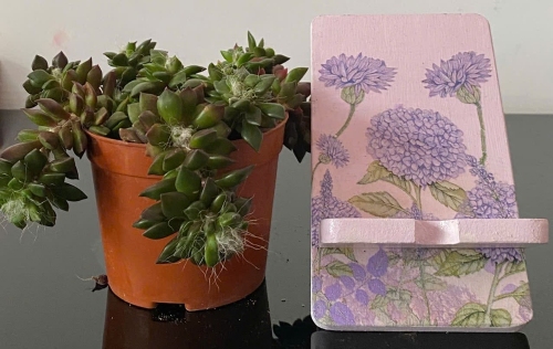 Giá đỡ điện thoại nhỏ 4 x 14cm