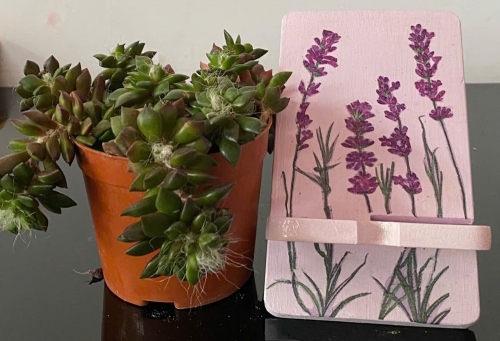 Giá đỡ điện thoại nhỏ 4 x 14cm