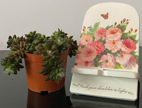 Giá đỡ điện thoại lớn 11 x 19cm
